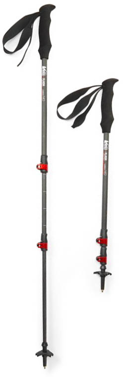 Carbon store hiking pole